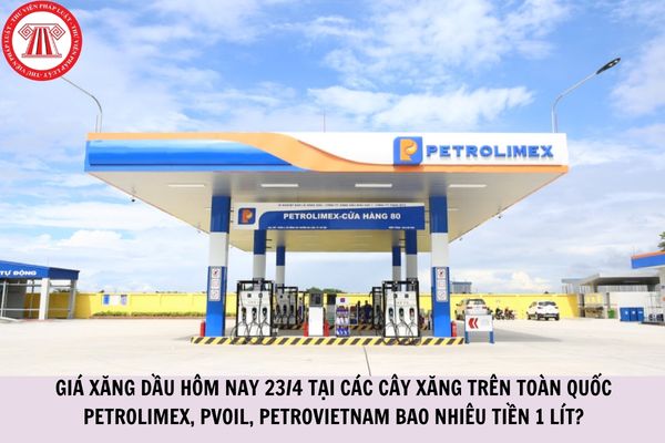 Hỏi đáp Pháp luật