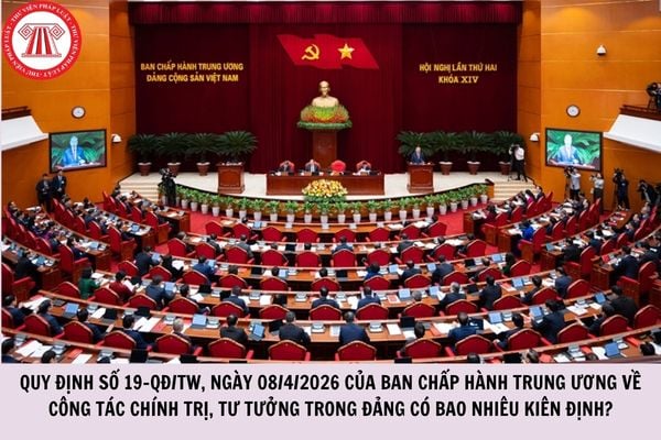 Hỏi đáp Pháp luật