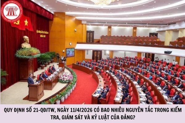 Hỏi đáp Pháp luật