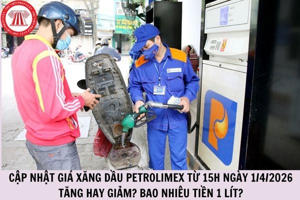Hỏi đáp Pháp luật