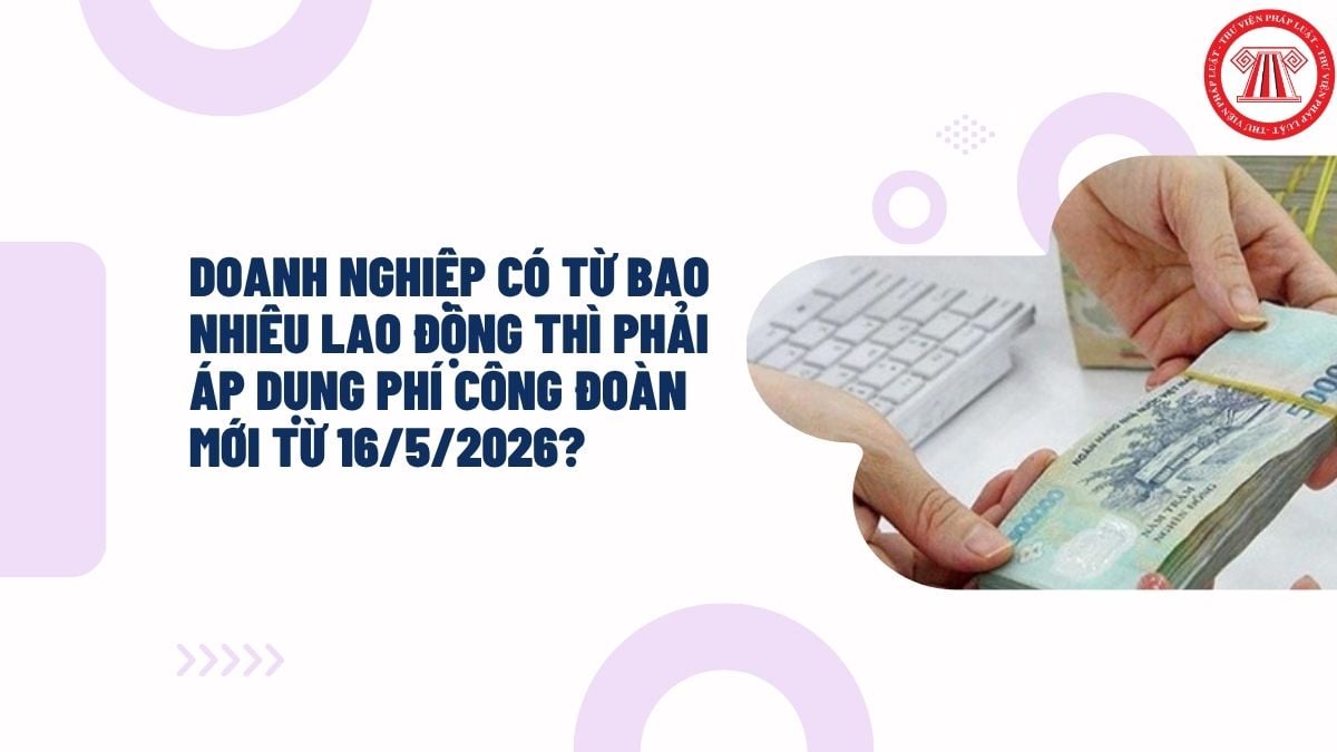 Hỏi đáp Pháp luật