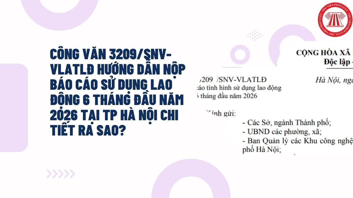Hỏi đáp Pháp luật