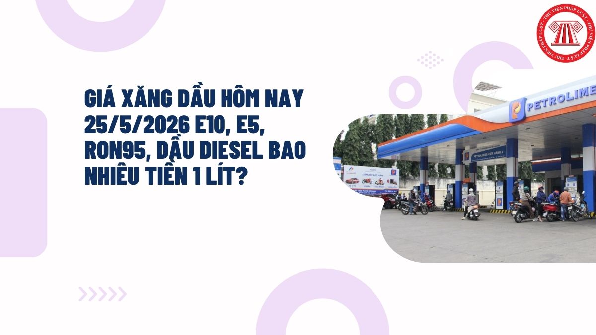 Giá xăng dầu hôm nay 25/5/2026 E10, E5, RON95, dầu diesel bao nhiêu tiền 1 lít?