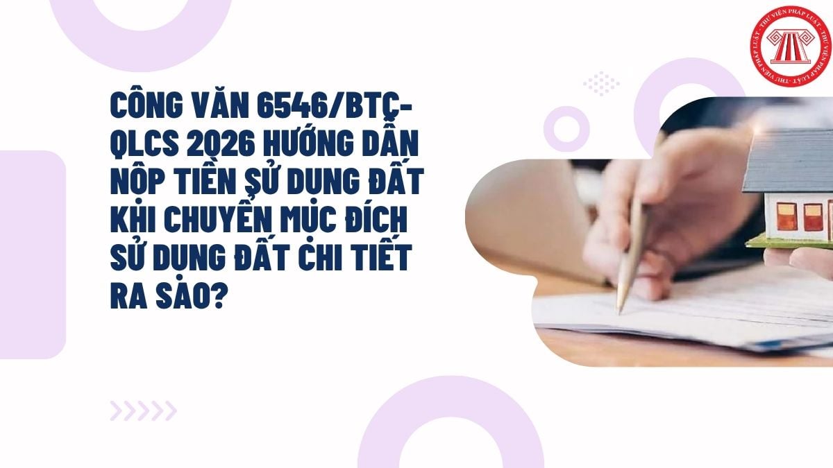 Hỏi đáp Pháp luật