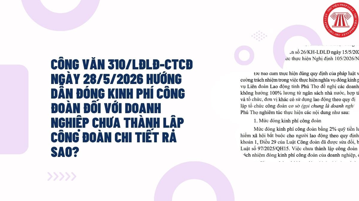 Hỏi đáp Pháp luật