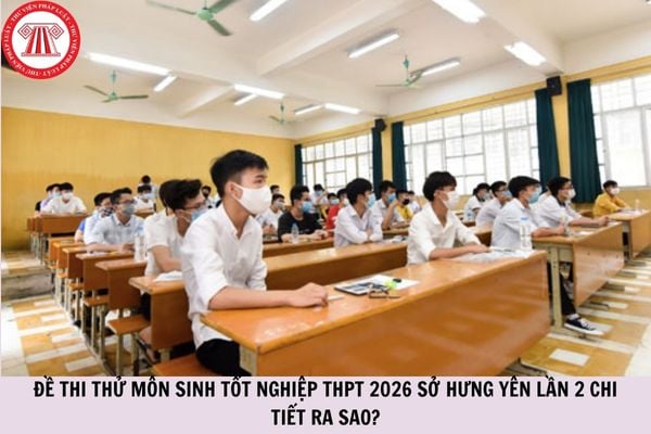 Đề thi thử môn Sinh tốt nghiệpTHPT 2026 Sở Hưng Yên lần 2 chi tiết ra sao?