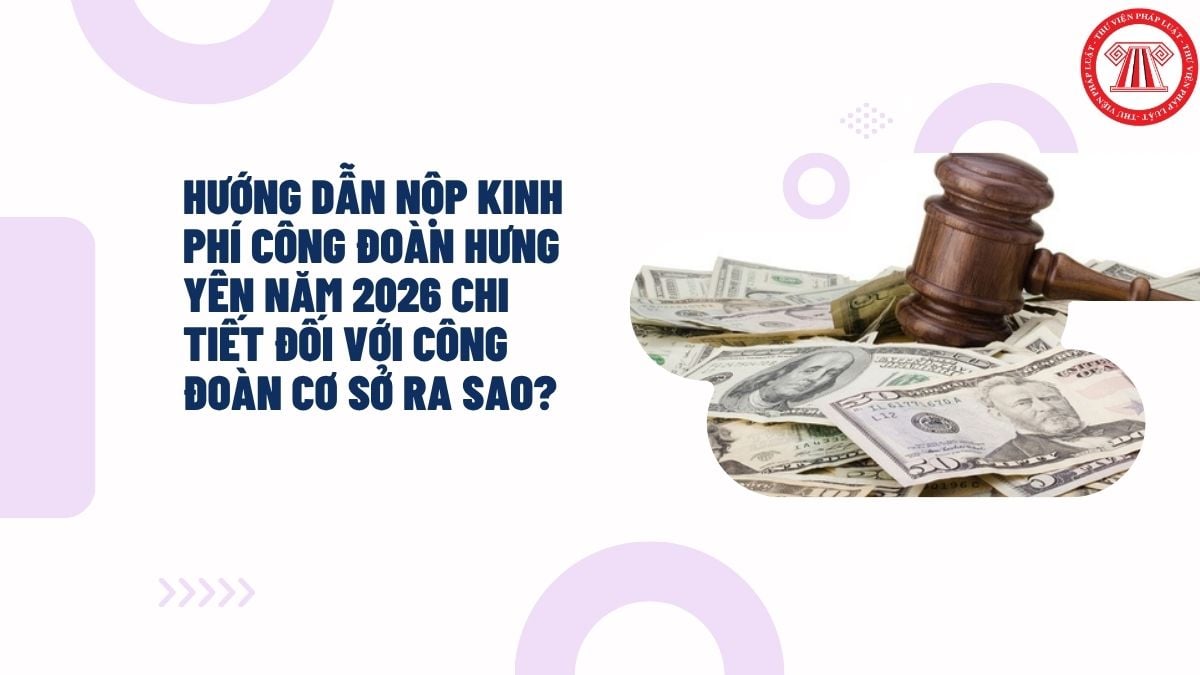 Hỏi đáp Pháp luật