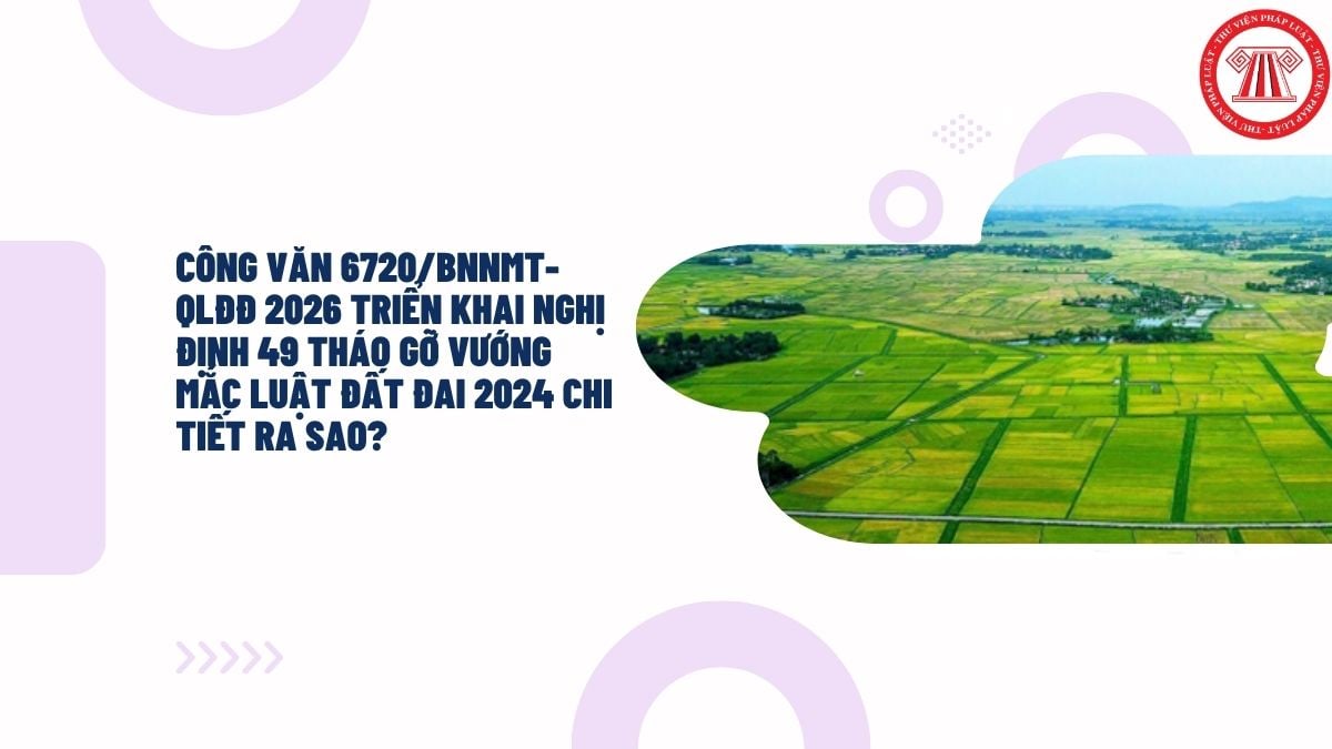 Hỏi đáp Pháp luật