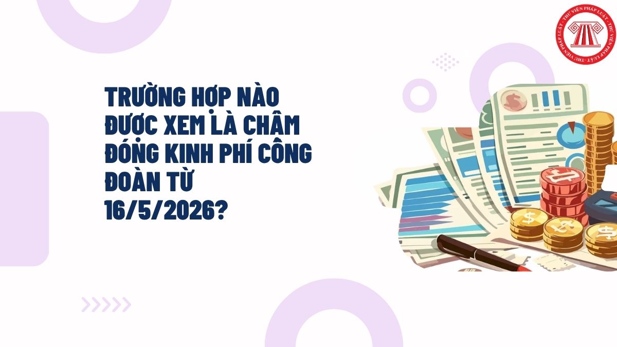 Hỏi đáp Pháp luật