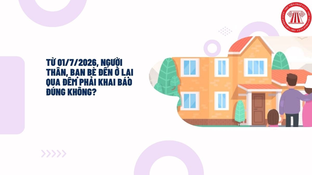 Hỏi đáp Pháp luật