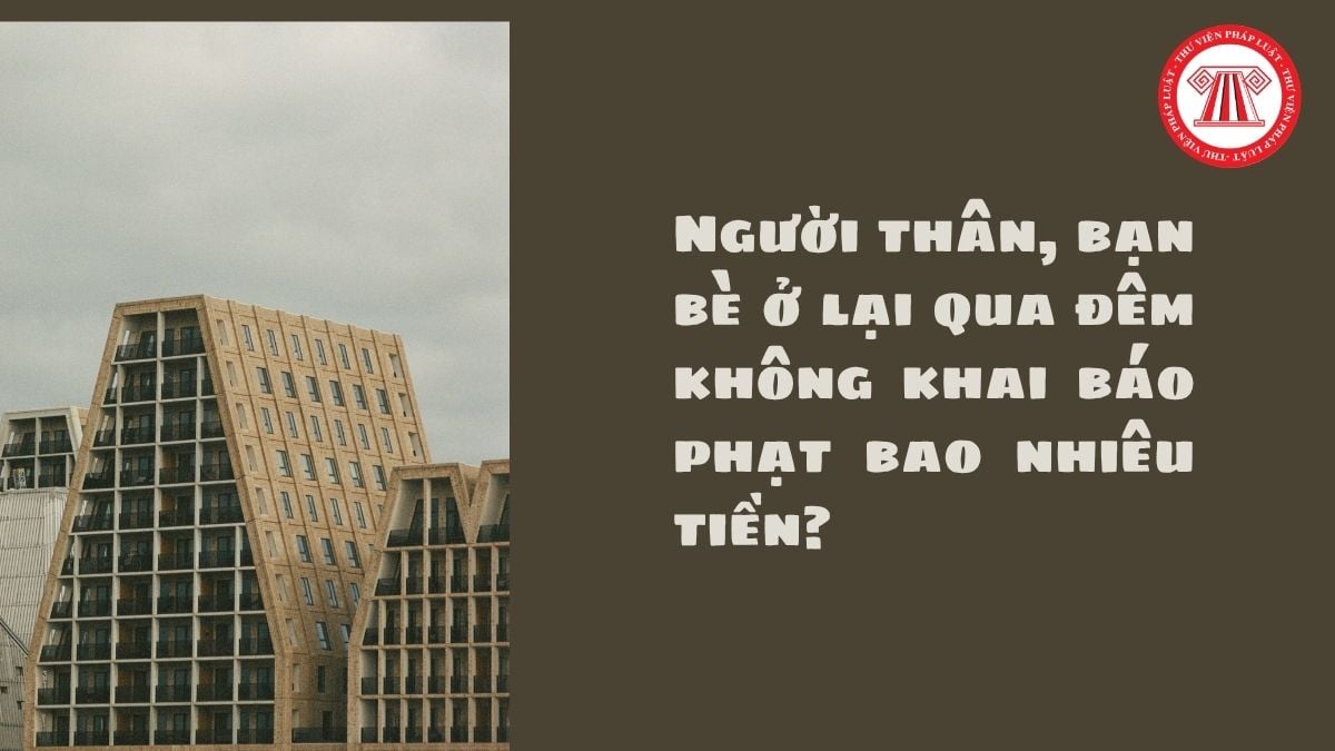 Hỏi đáp Pháp luật