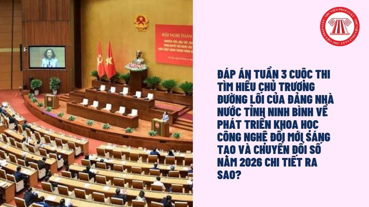 Hỏi đáp Pháp luật