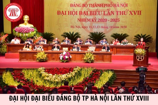 Hỏi đáp Pháp luật