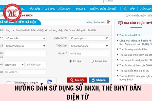 Hỏi đáp Pháp luật
