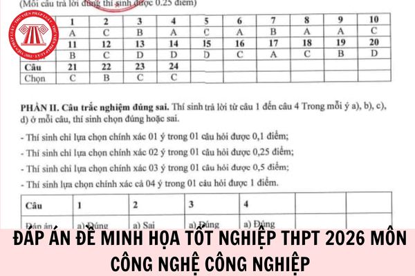 Hỏi đáp Pháp luật