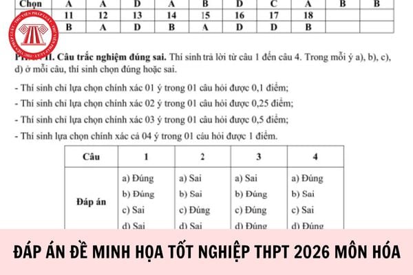 Hỏi đáp Pháp luật