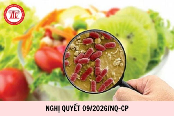 Toàn văn Nghị quyết 09 2026 NQ CP tạm ngưng hiệu lực và điều chỉnh thời hạn áp dụng Nghị định 46 và Nghị quyết 66.13 chi tiết thế nào?