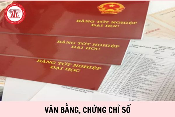 Hỏi đáp Pháp luật