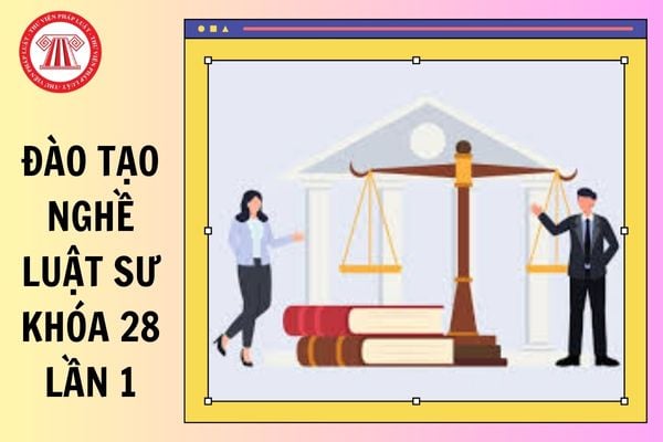 Hỏi đáp Pháp luật