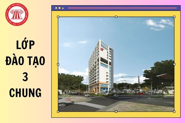 Hỏi đáp Pháp luật