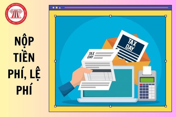 Hỏi đáp Pháp luật
