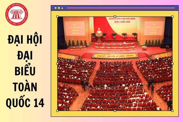 Hỏi đáp Pháp luật