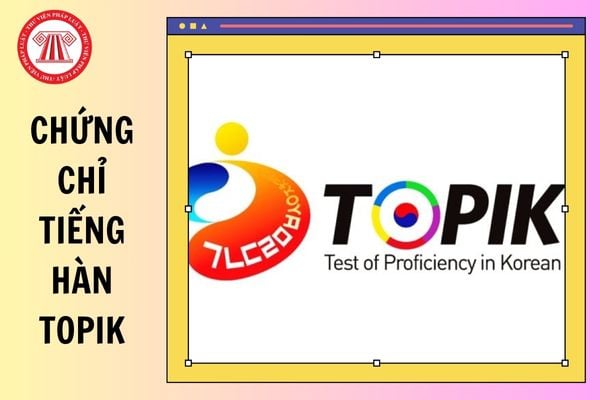 Bảng quy đổi khung năng lực 6 bậc của chứng chỉ tiếng Hàn TOPIK trong tuyển sinh, đại học mới nhất năm 2026 thế nào?