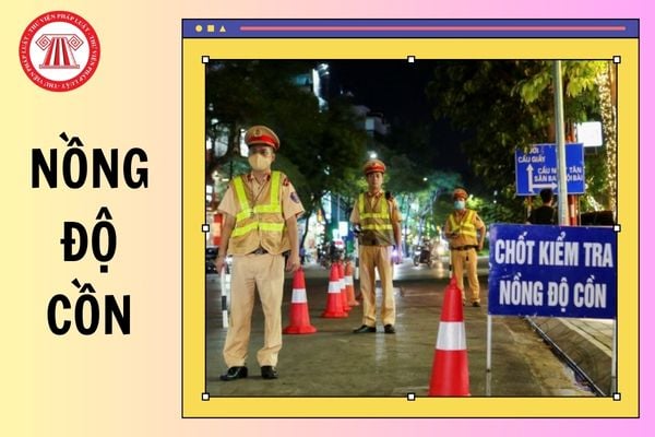 Hỏi đáp Pháp luật