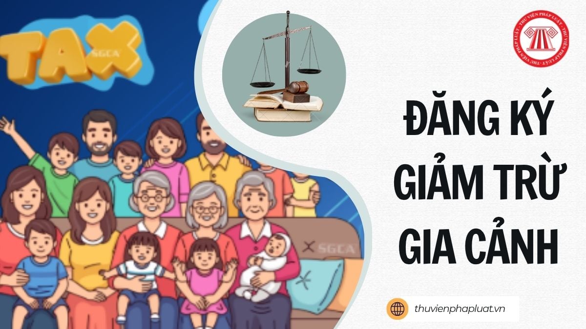Hỏi đáp Pháp luật