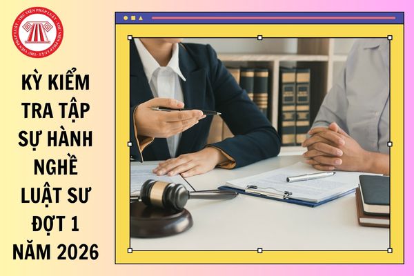 Hỏi đáp Pháp luật