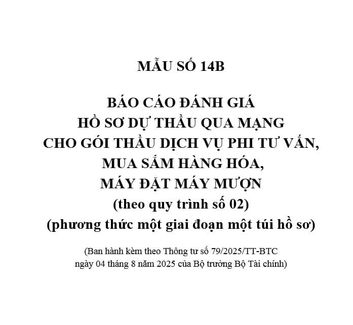 Mẫu Báo cáo đánh giá hồ sơ dự thầu qua mạng cho gói thầu dịch vụ phi tư vấn, mua sắm hàng hóa, máy đặt máy mượn