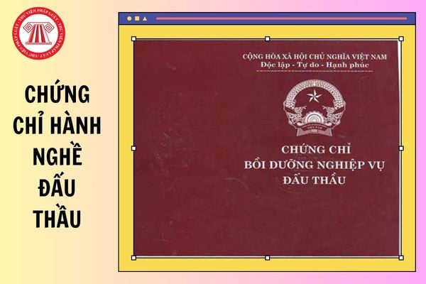 Hướng dẫn tra cứu chứng chỉ hành nghề đấu thầu mới nhất 2026 thế nào?