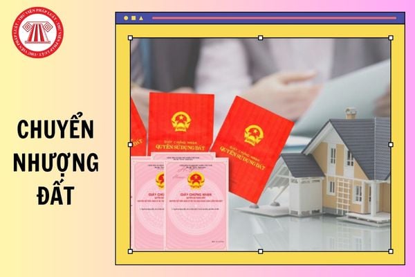 Hỏi đáp Pháp luật