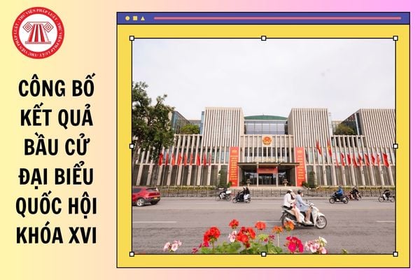Hỏi đáp Pháp luật