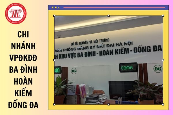 Hỏi đáp Pháp luật