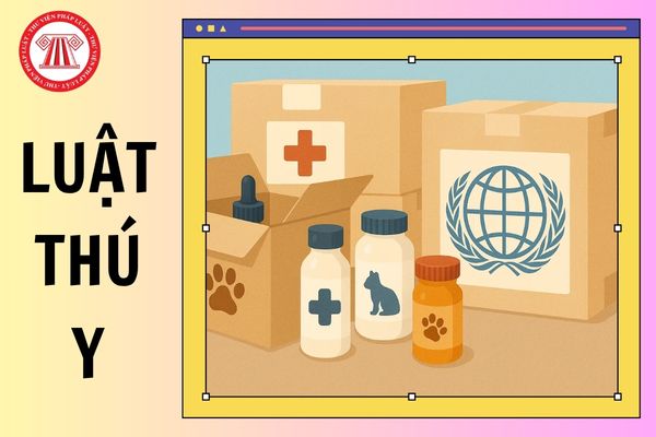 Hỏi đáp Pháp luật