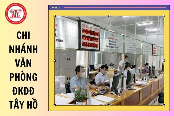 Hỏi đáp Pháp luật