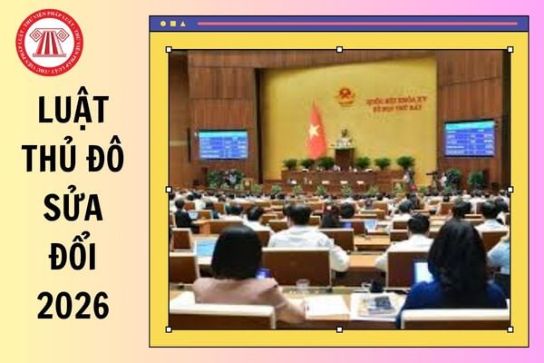 Hỏi đáp Pháp luật