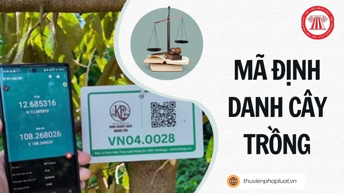 Hỏi đáp Pháp luật