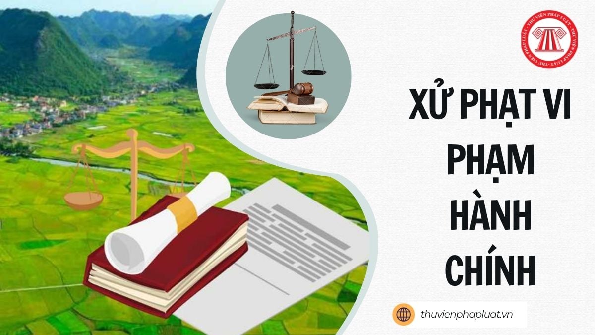 Hỏi đáp Pháp luật