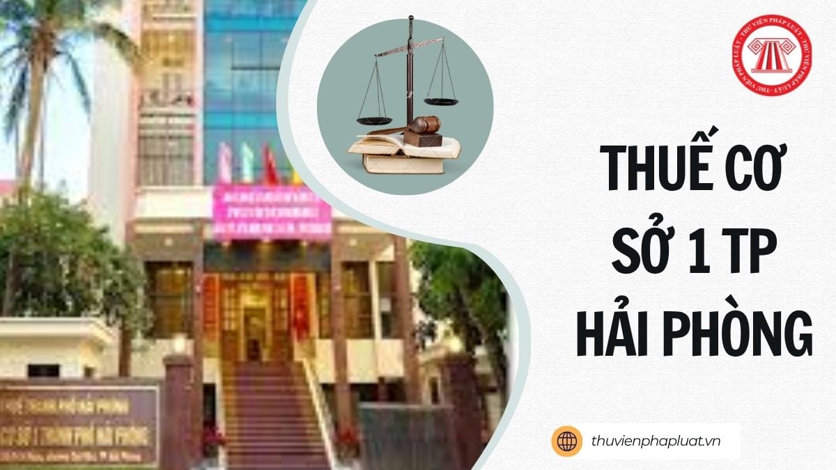 Hỏi đáp Pháp luật