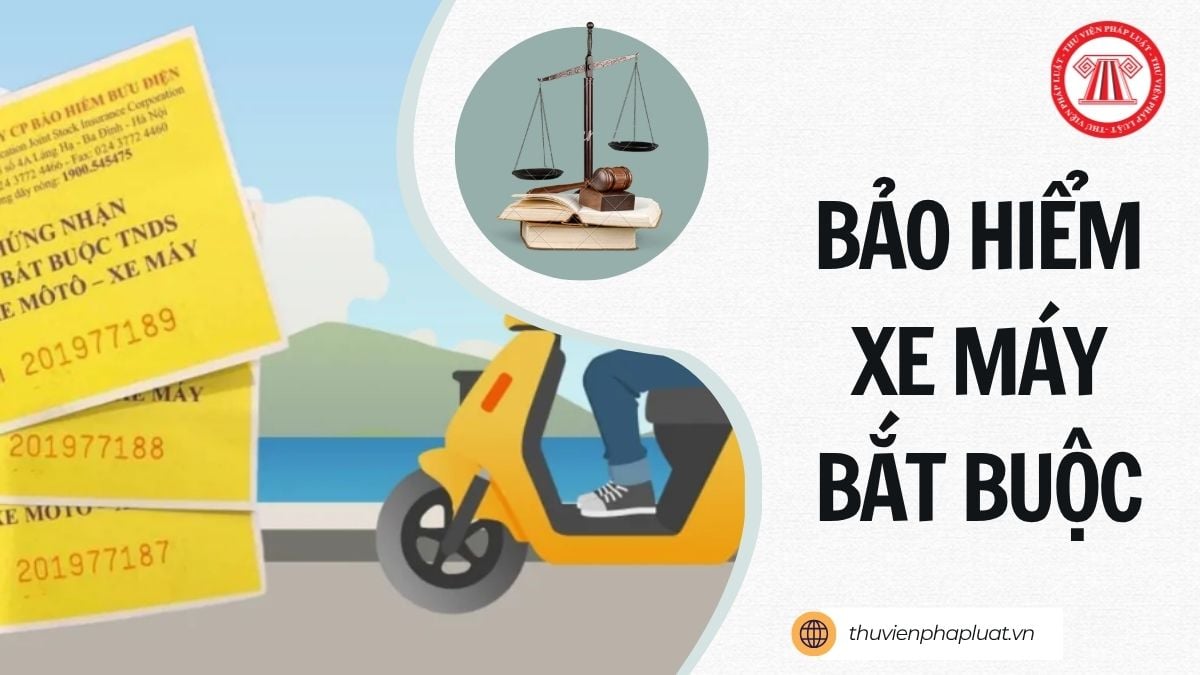 Hỏi đáp Pháp luật