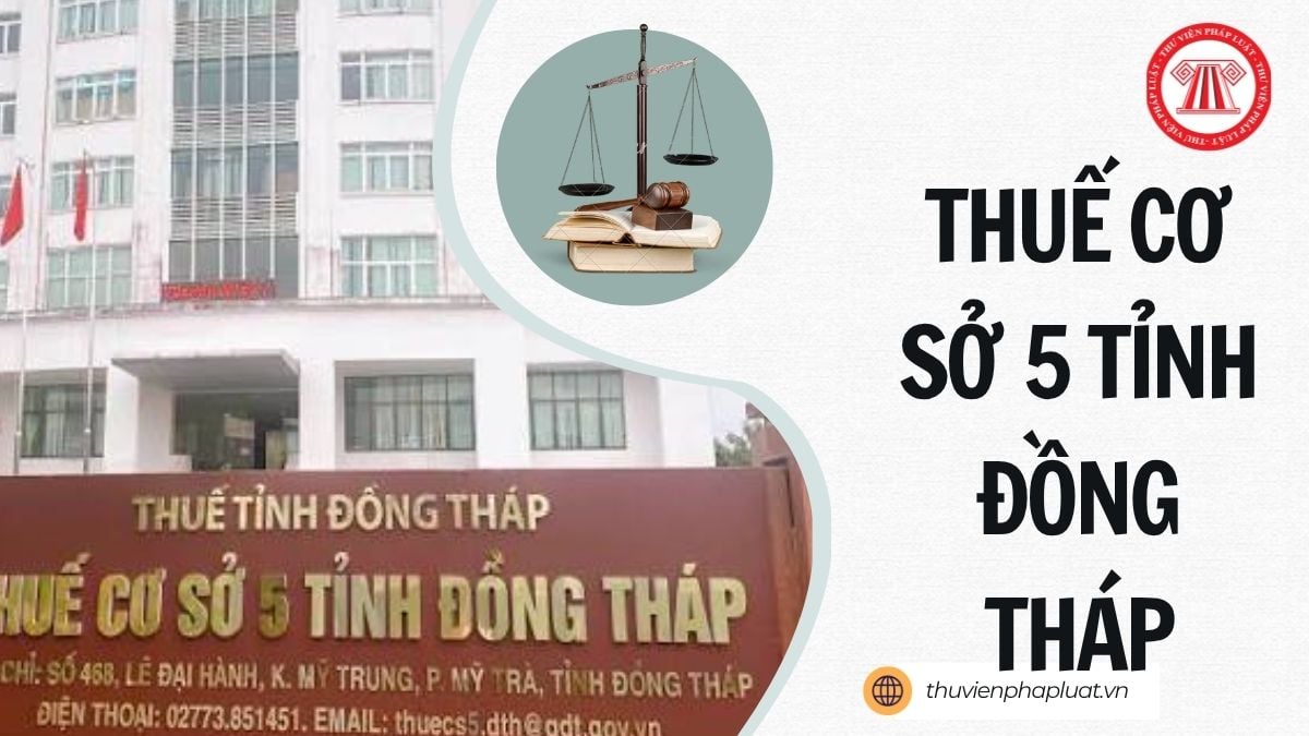 Các địa bàn quản lý của Thuế cơ sở 5 tỉnh Đồng Tháp gồm những địa bàn nào năm 2026?