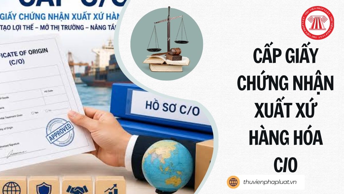Hỏi đáp Pháp luật