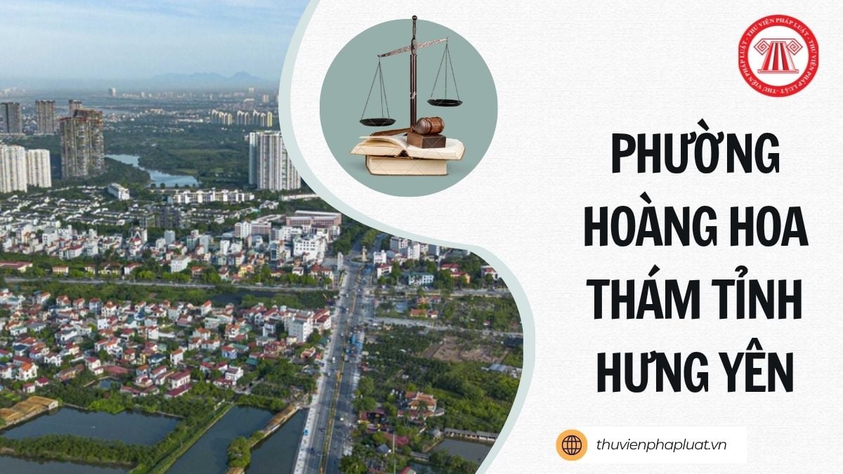 Hỏi đáp Pháp luật