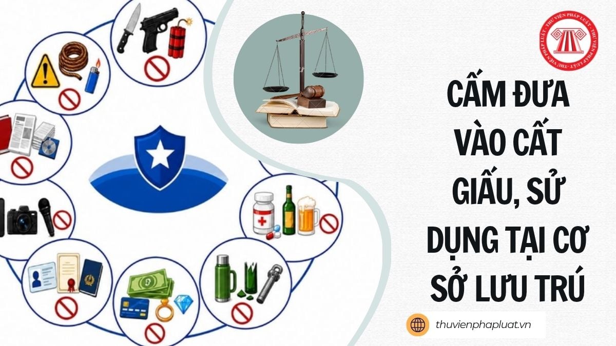 Hỏi đáp Pháp luật