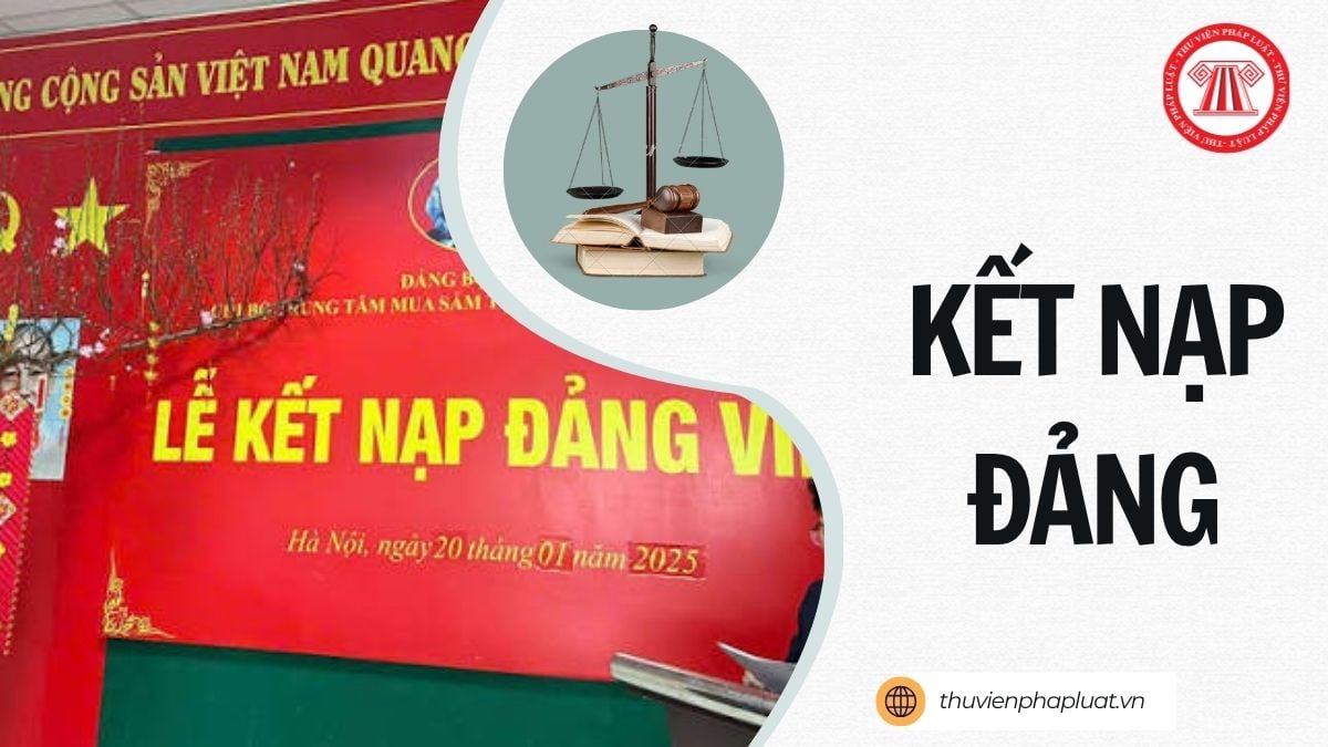 Hỏi đáp Pháp luật