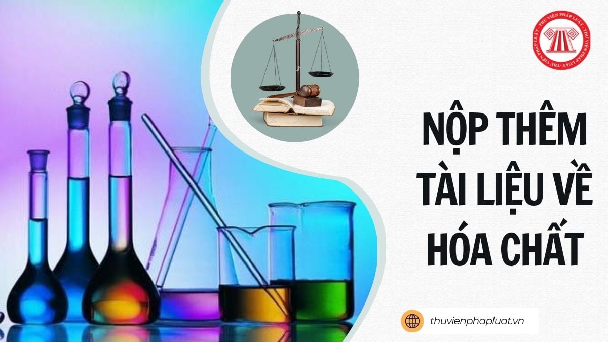 Hỏi đáp Pháp luật