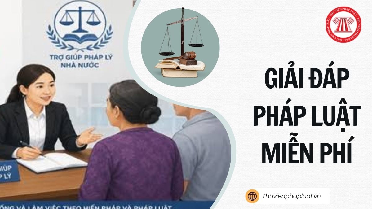 Hỏi đáp Pháp luật