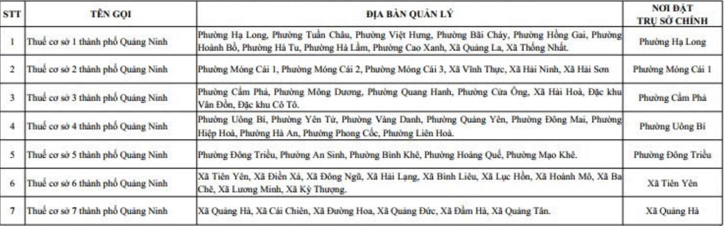 07 Thuế cơ sở mới thành phố Quảng Ninh